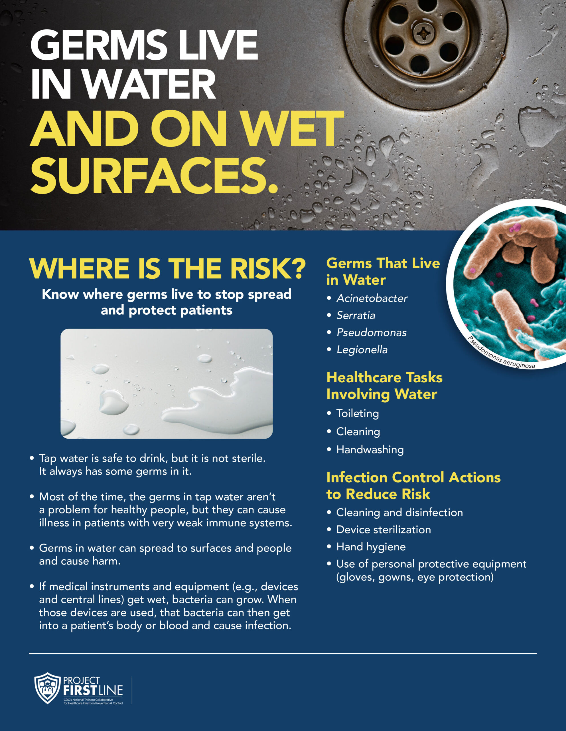 Water and Wet Surfaces